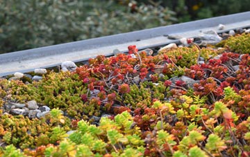 the cost of Mount Skippett green roof installation