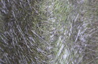 Mount Skippett fibreglass roof work